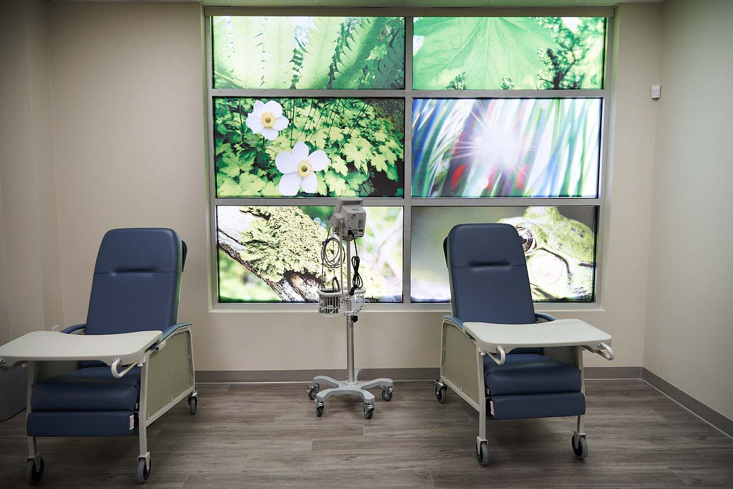 Two infusion chairs in a treatment room facing a lit forest panel